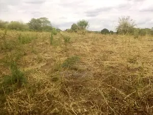 Shamba Linauzwa Mbwewe