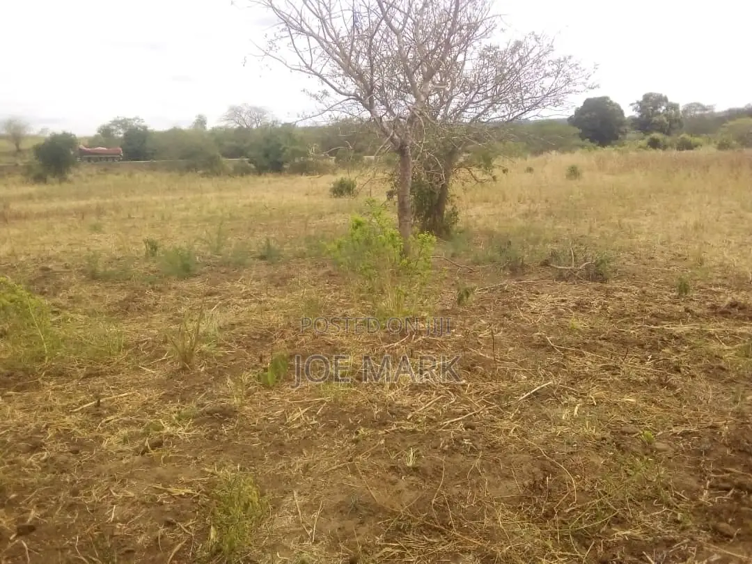 Shamba Linauzwa Mbwewe