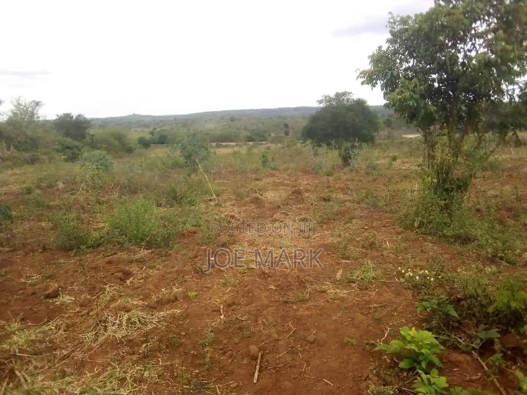 Shamba Linauzwa Mbwewe