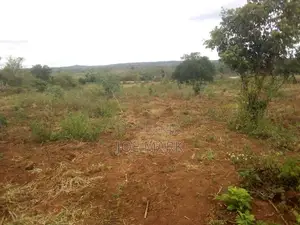 Shamba Linauzwa Mbwewe
