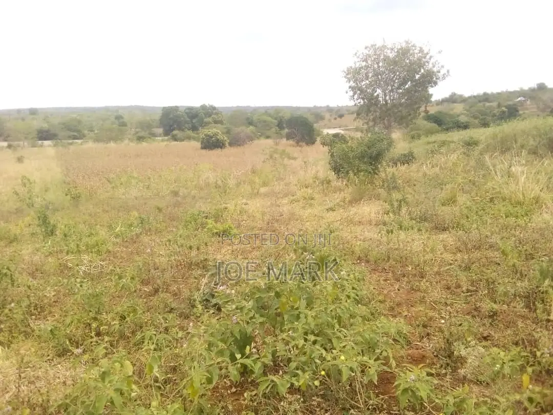 Shamba Linauzwa Mbwewe