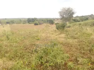 Shamba Linauzwa Mbwewe