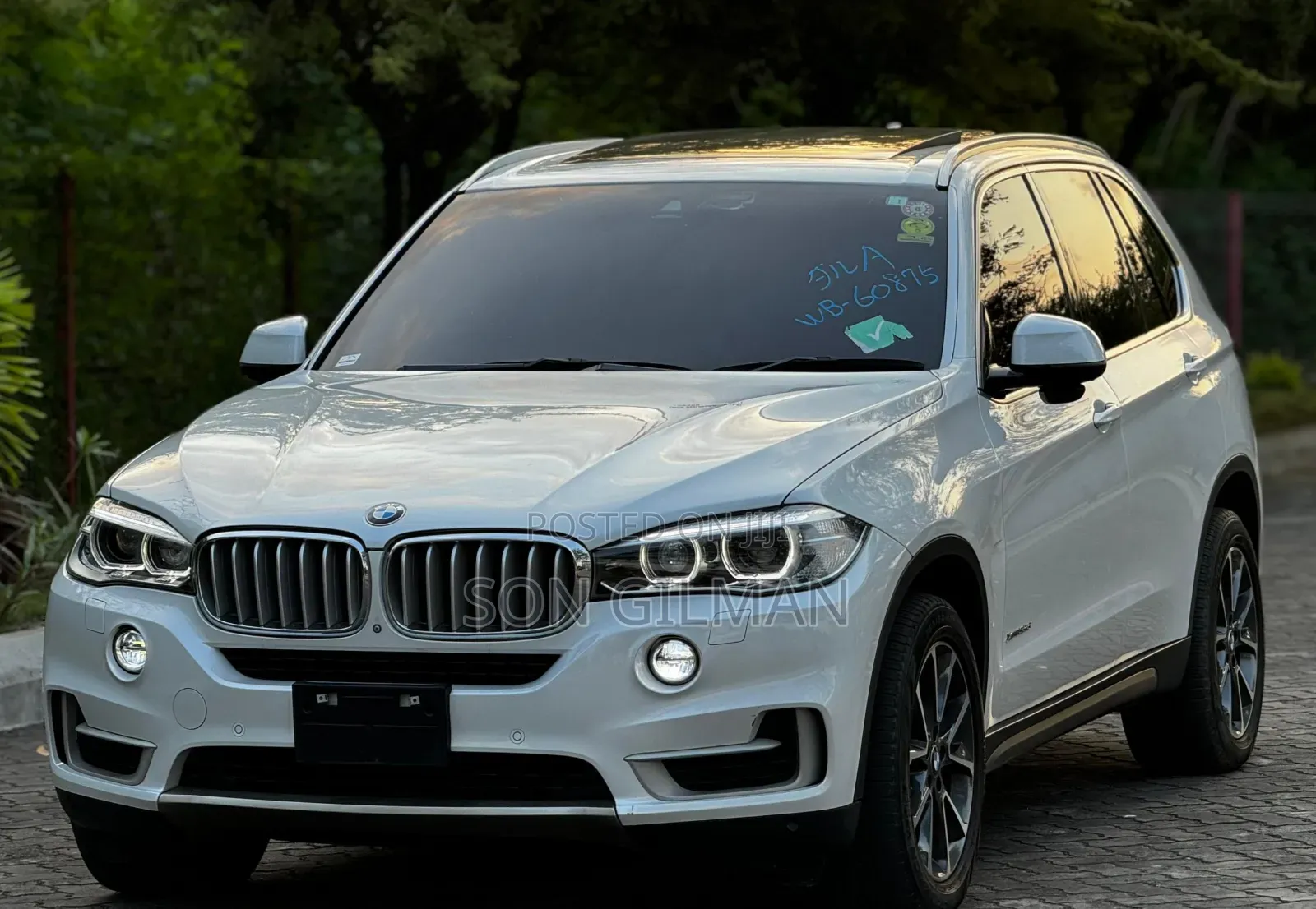 BMW X5 2015 Pearl
