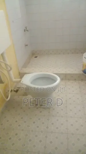 2bdrm House in Mikocheni for rent