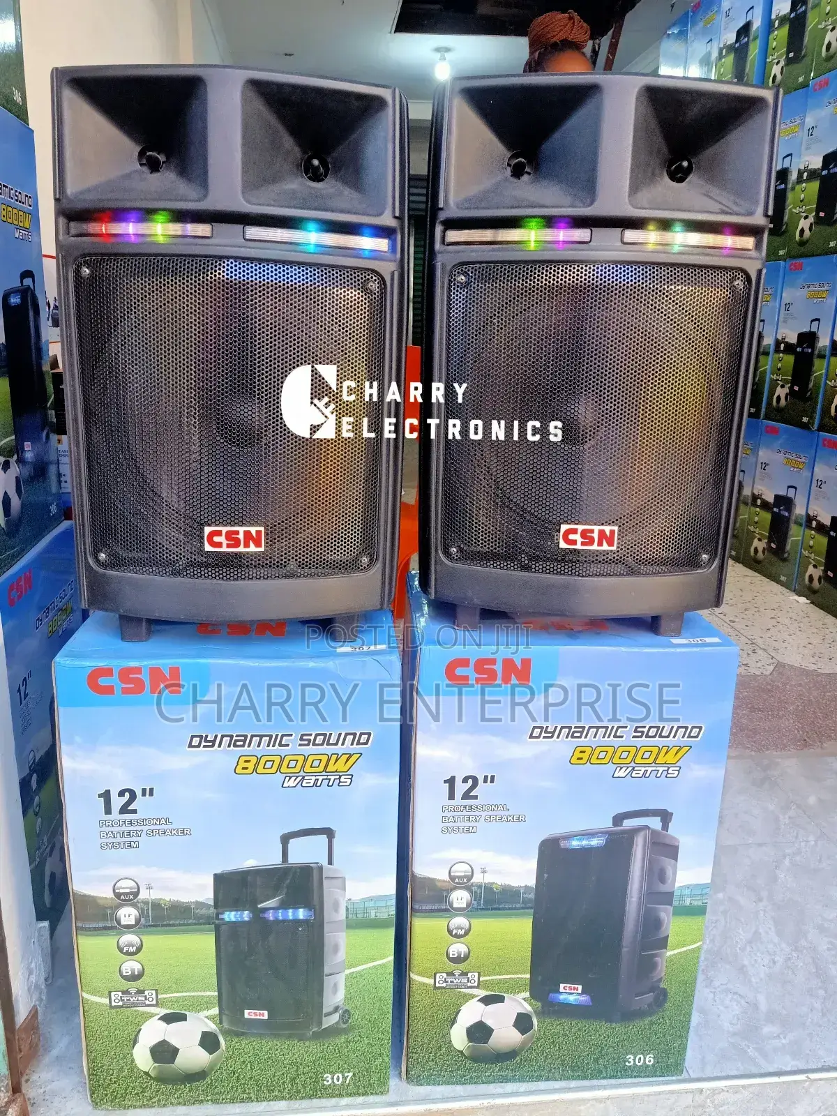 CSN Rechargeable Dj Battery Speaker System With Mic 8000W