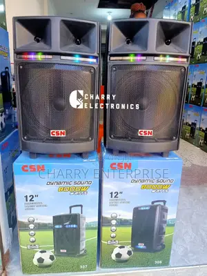 CSN Rechargeable Dj Battery Speaker System With Mic 8000W