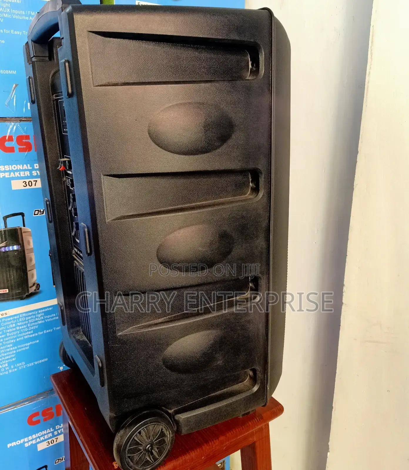 CSN Rechargeable Dj Battery Speaker System With Mic 8000W