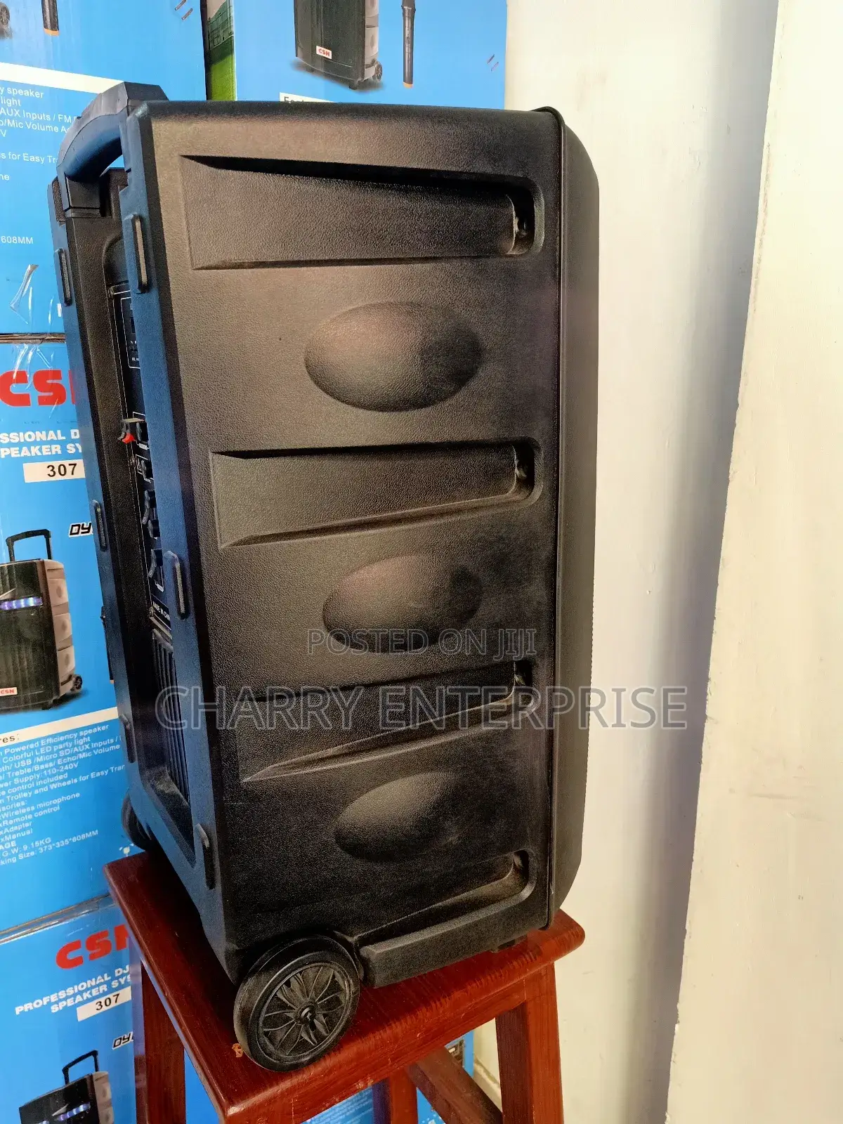 CSN PROFESSIONAL Rechargeable Battery Speaker System 8000W