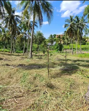 Plot for Sale at Mbezi Luguruni