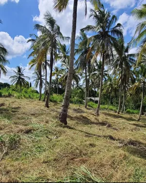 Plot for Sale at Mbezi Luguruni