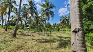 Plot for Sale at Mbezi Luguruni