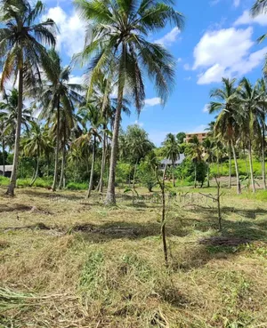 Plot for Sale at Mbezi Luguruni