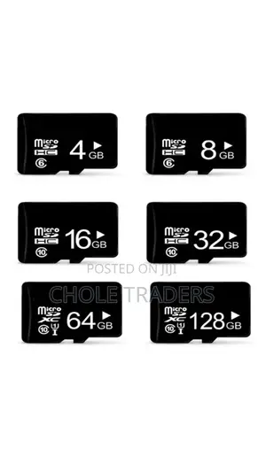 Microdigit SD Memory Card