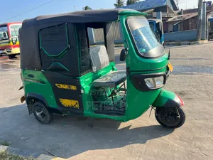 TVS King Cargo 2023 Green