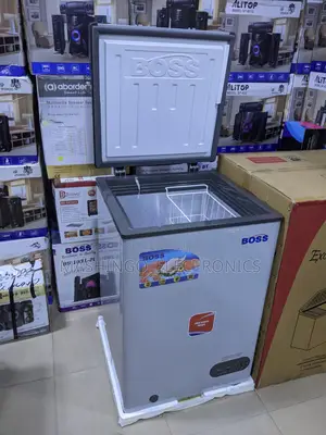 Boss Freezer 100 Liters
