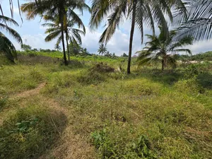 Plot for Sale at Madale