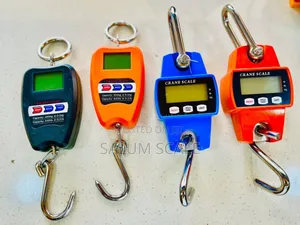 Digital Crane Scale 200kg 300kg