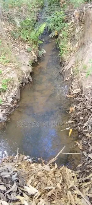 Shamba Linauzwa Acre 1350 Iringa Vijiji