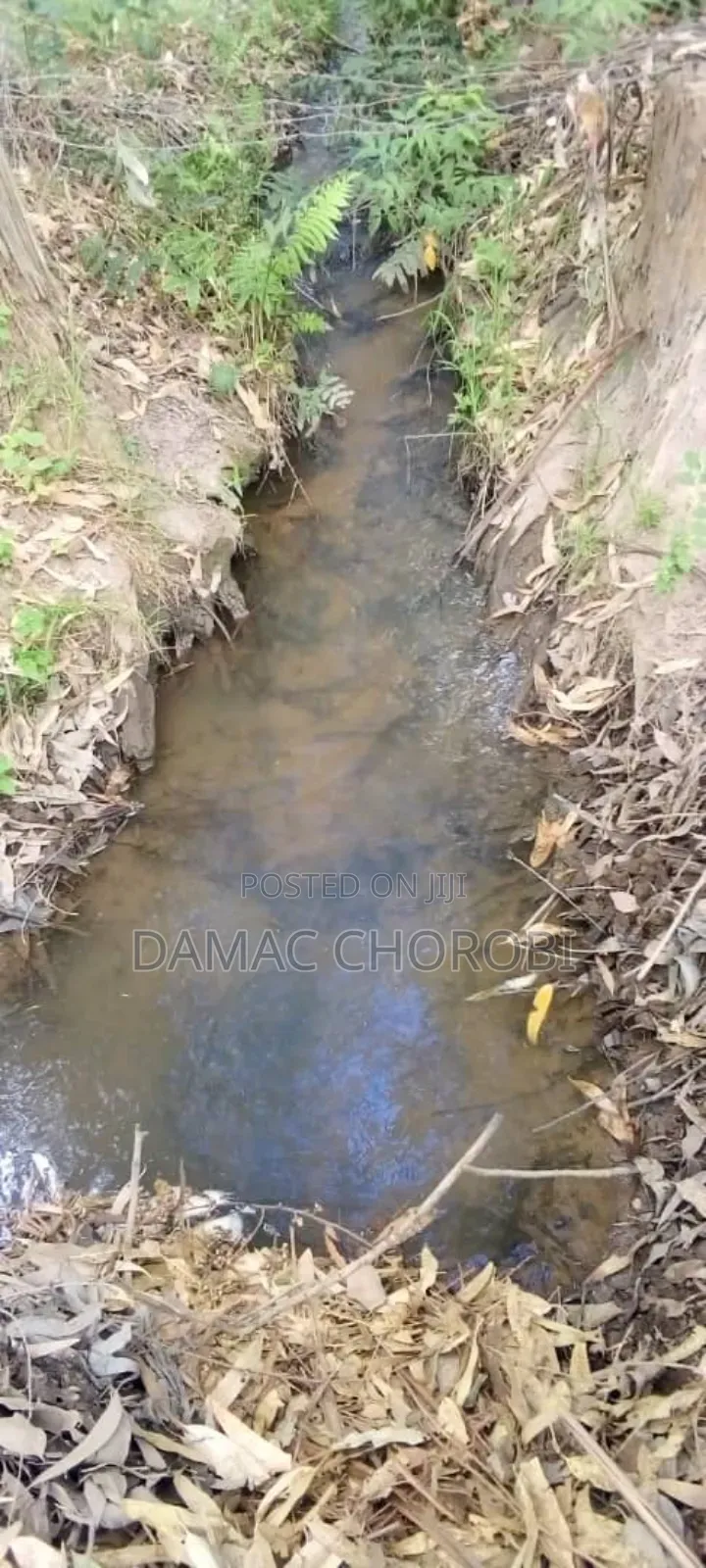 Shamba Linauzwa Acre 1350 Iringa Vijiji