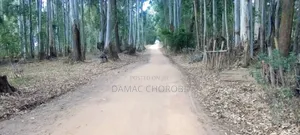 Shamba Linauzwa Acre 1350 Iringa Vijiji
