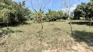Eneo Linauzwa Mapinga Kwa Kibosha