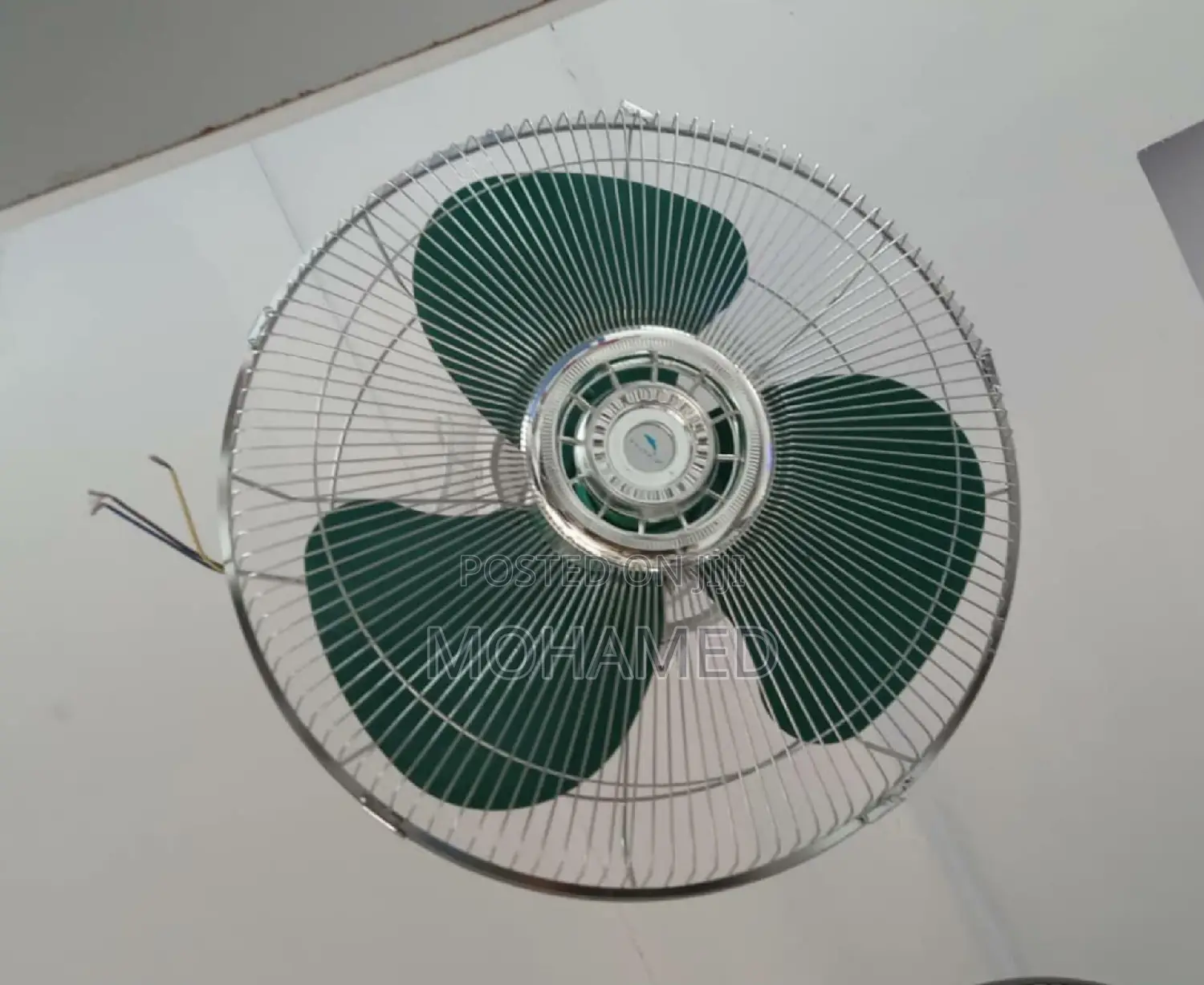 Dolphin Orbit Fan/Feni