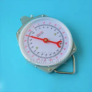 Hanging Scale