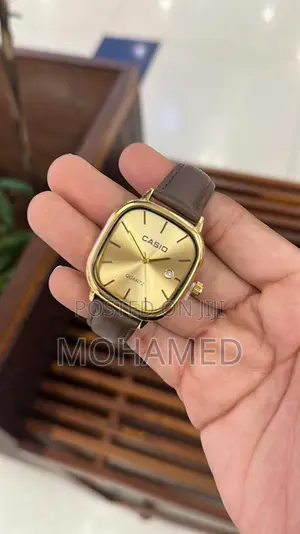Casio Fashion Watch