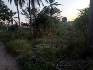 Viwanja Luguruni