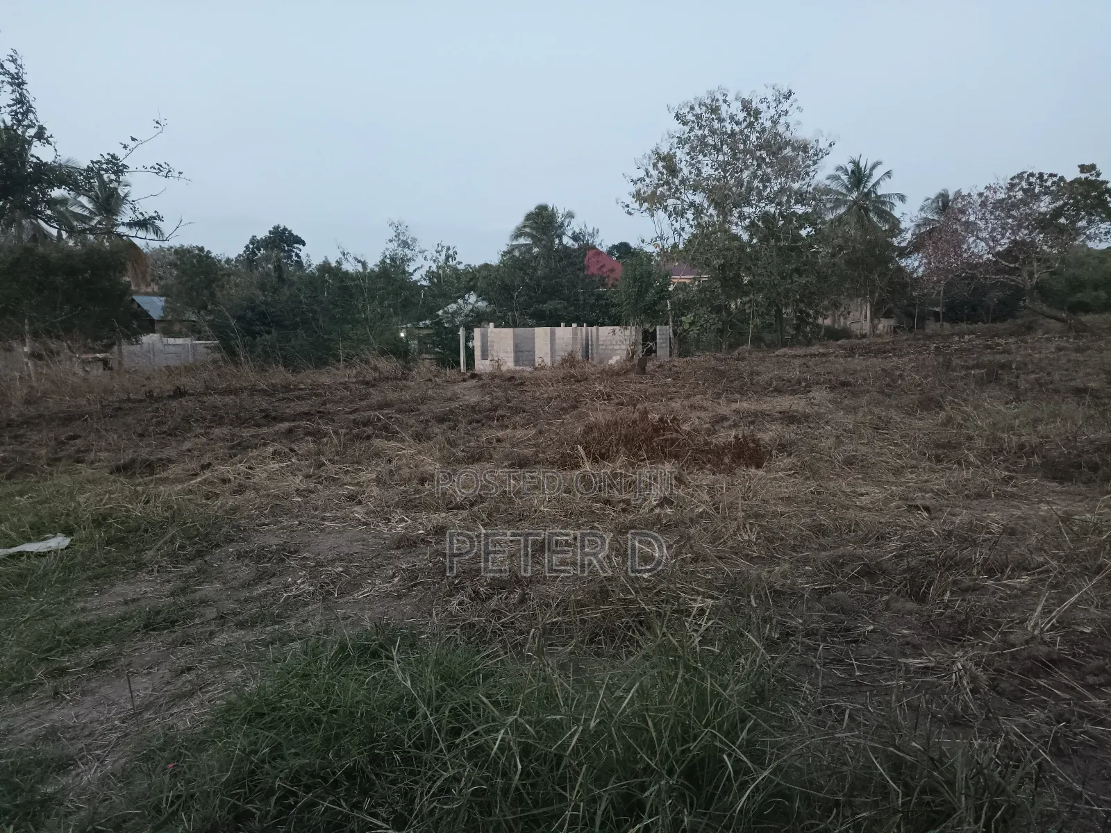 Viwanja Luguruni