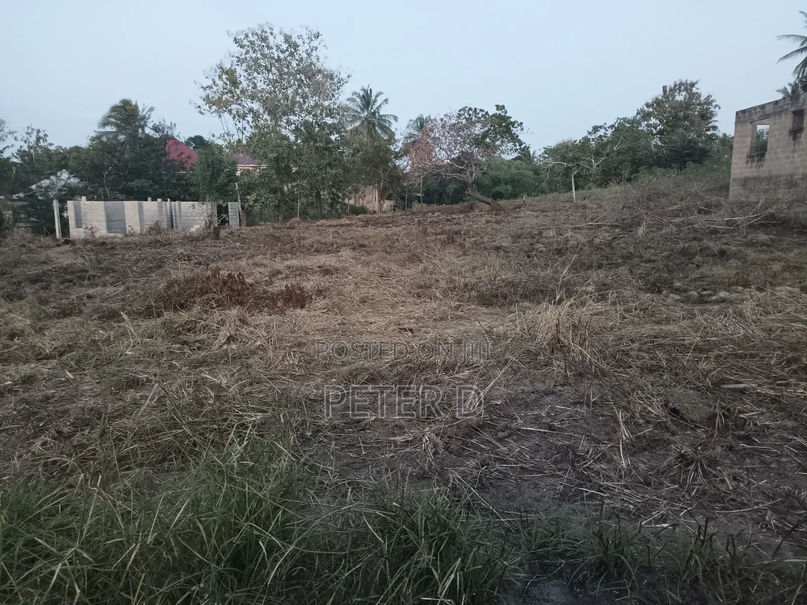 Viwanja Luguruni