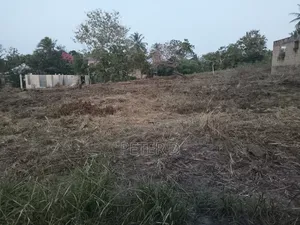 Viwanja Luguruni