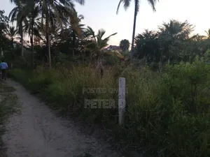 Viwanja Luguruni
