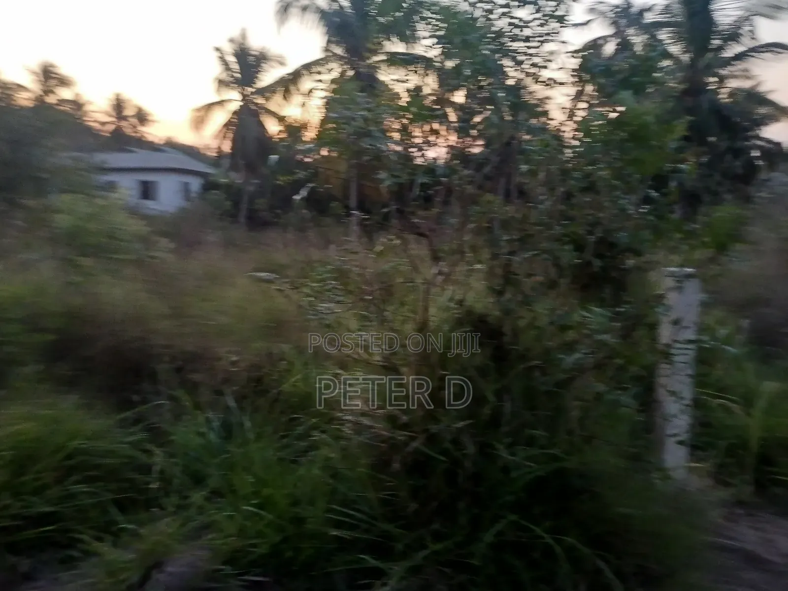 Viwanja Luguruni