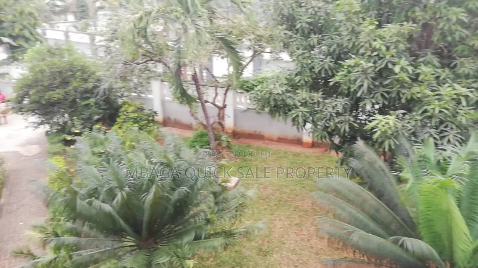 5bdrm House in Mikocheni for rent