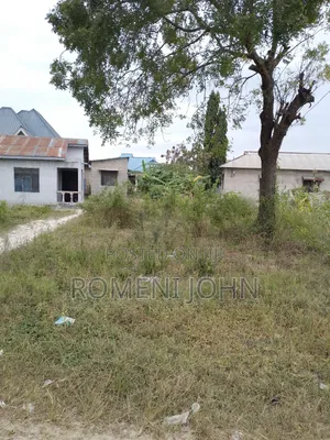 Kiwanja Sqmita 150 Kinauzwa Milioni 4 Majohe Chuo Rada.