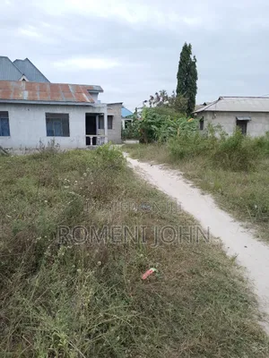 Kiwanja Sqmita 150 Kinauzwa Milioni 4 Majohe Chuo Rada.