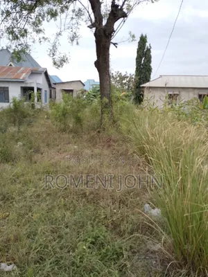 Kiwanja Sqmita 150 Kinauzwa Milioni 4 Majohe Chuo Rada.