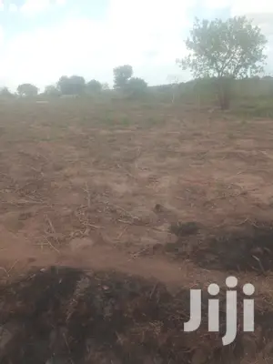 Eneo Linauzwa