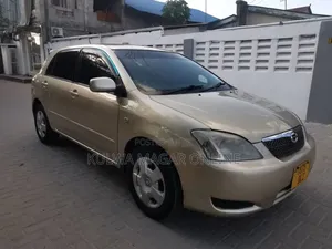 Toyota Allex 2004 Silver