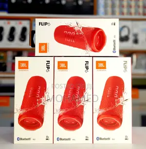 JBL Flip 6