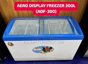 Display Freezer 300L