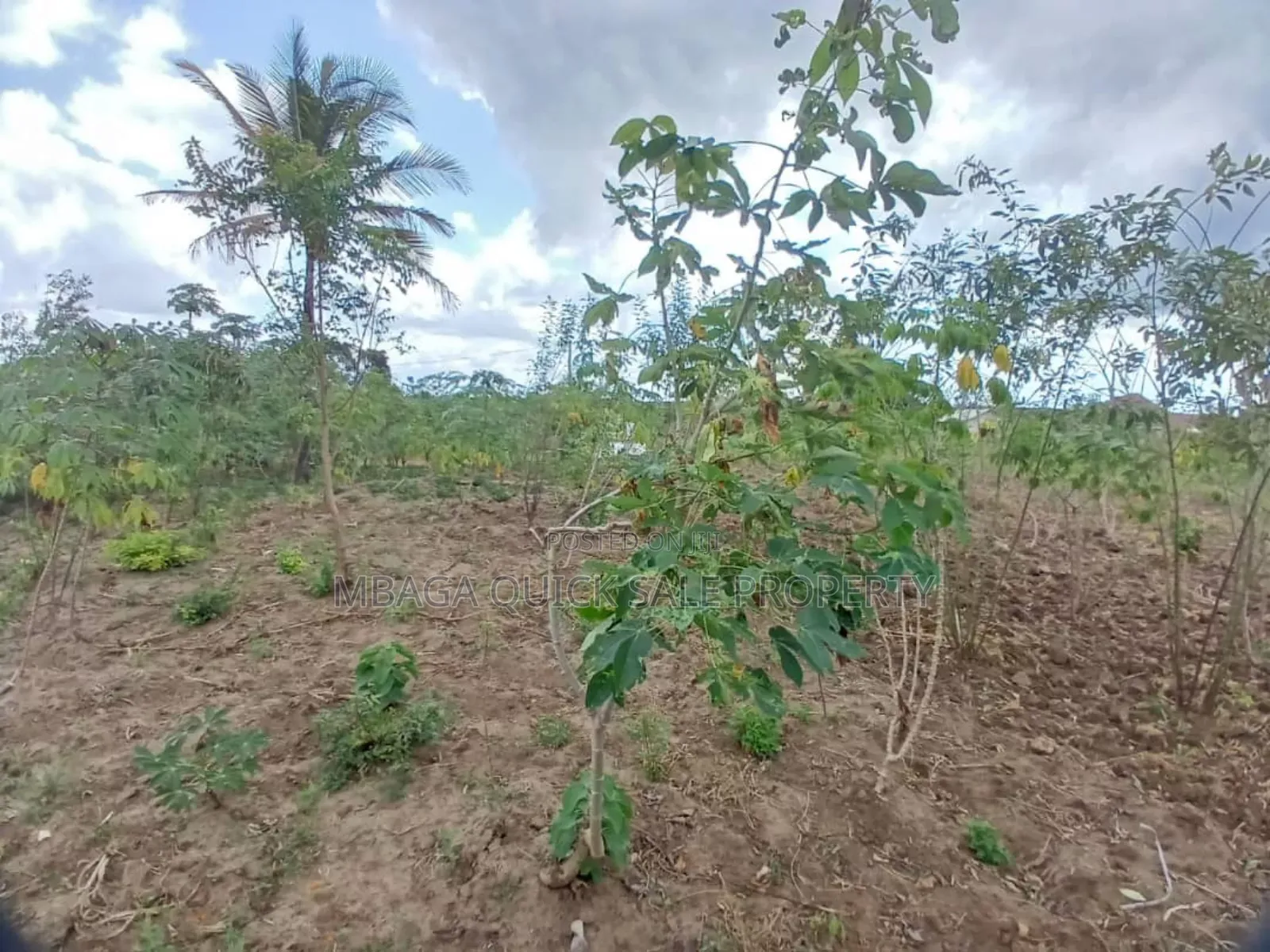 Plot for Sale at Kibaha Mkoani