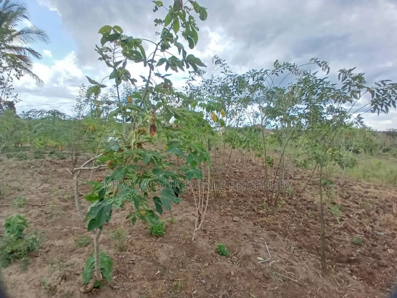 Plot for Sale at Kibaha Mkoani