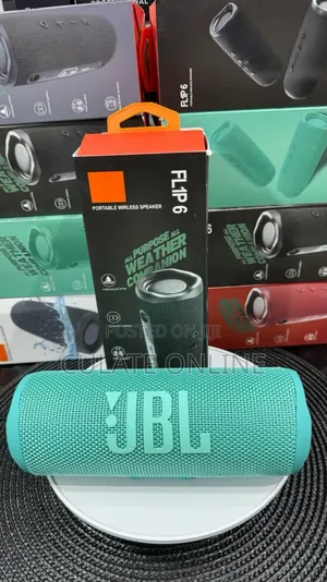 JBL Flip 6 Wireless Speaker