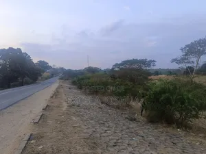 Shamba Limekamata Main Road Linauzwa Mbwewe, Wilaya Chalinze