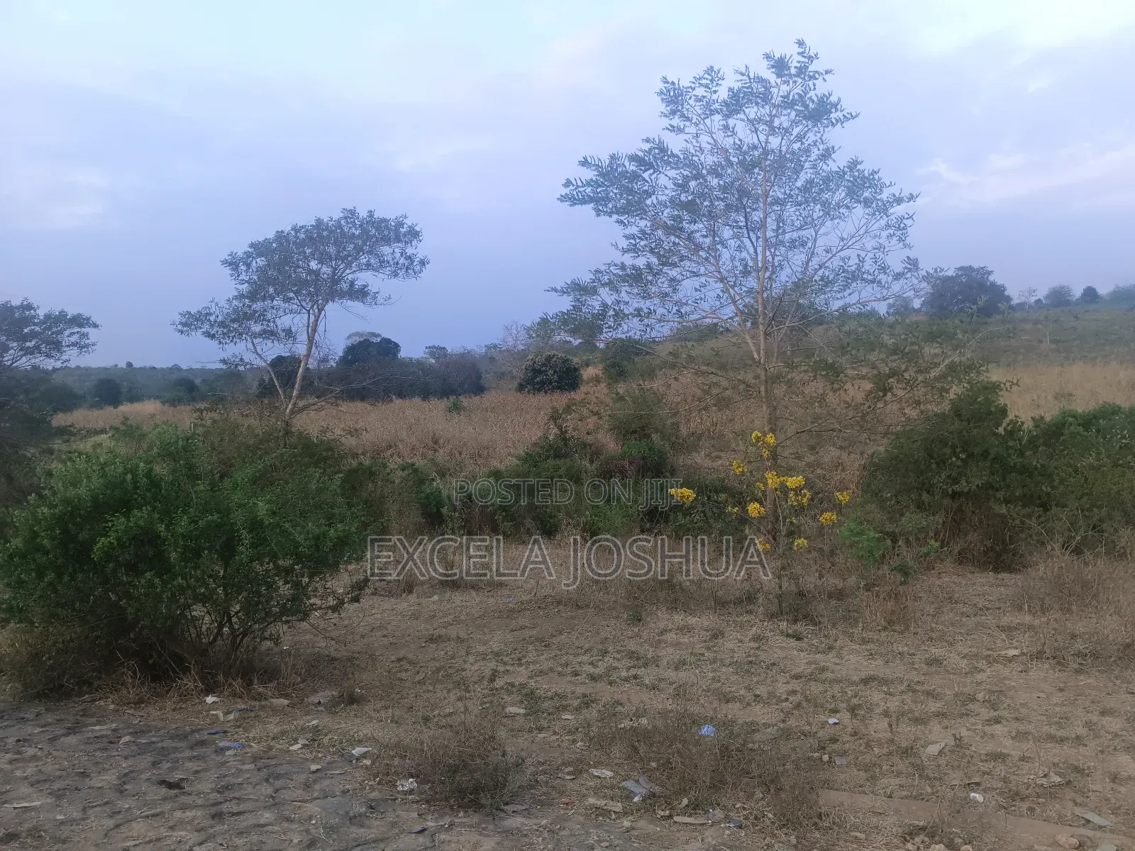 Shamba Limekamata Main Road Linauzwa Mbwewe, Wilaya Chalinze