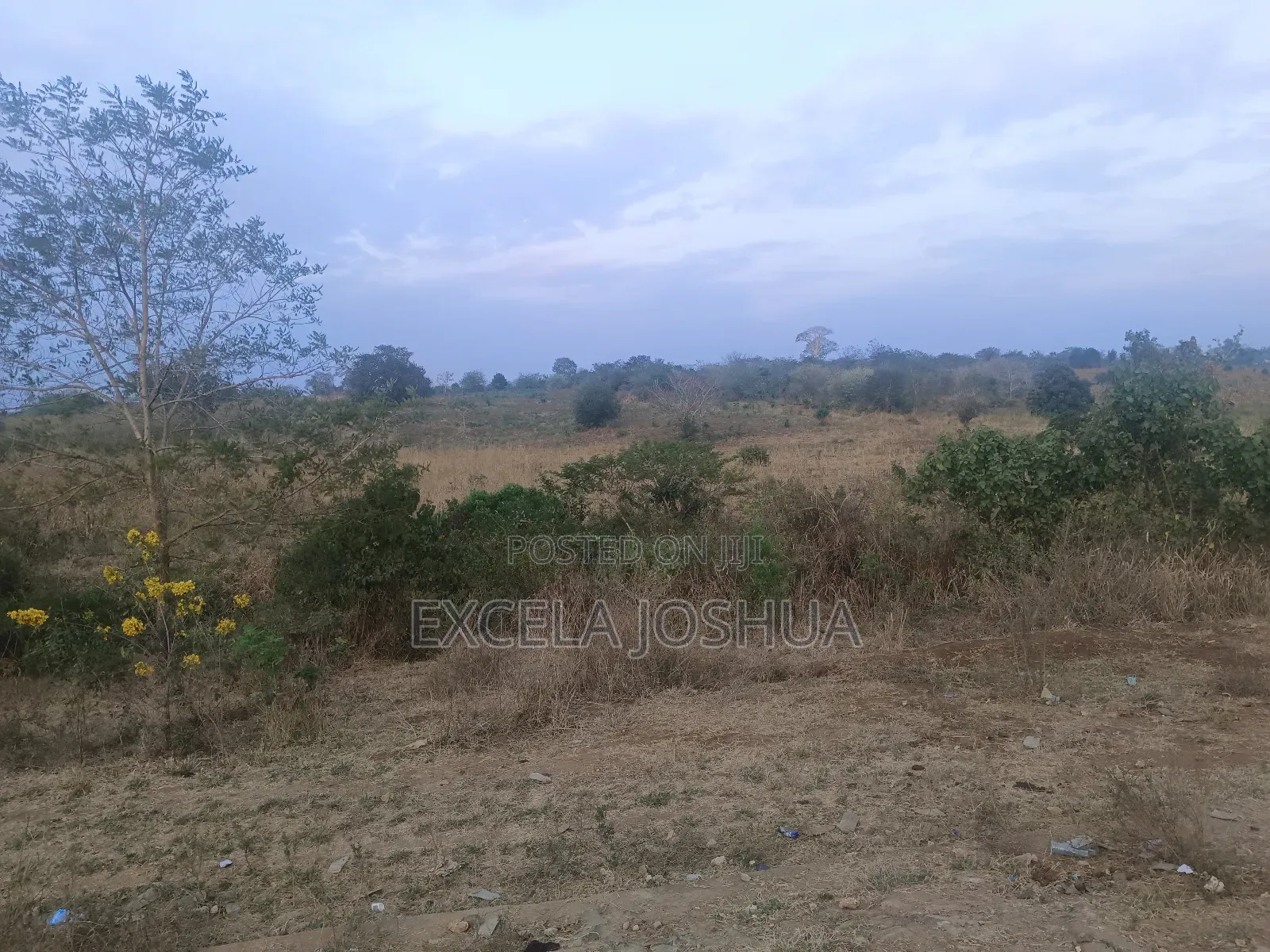 Shamba Limekamata Main Road Linauzwa Mbwewe, Wilaya Chalinze