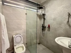 Furnished 3bdrm Apartment in Masaki for rent