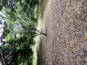 18 Acres for Sale at Kibaha Mlandizi